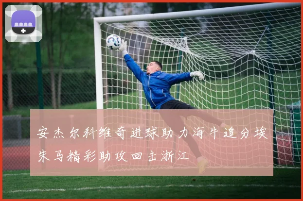安杰尔科维奇进球助力海牛追分埃朱马精彩助攻回击浙江